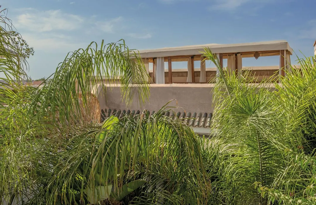 Riad Jaaneman-1