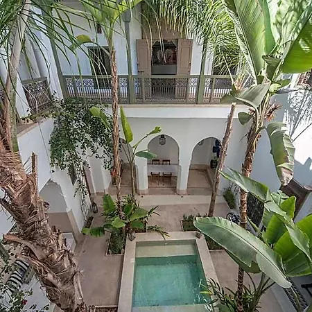 Riad Jaaneman-3